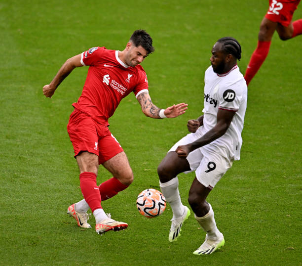 数球迷的心 数球迷的心